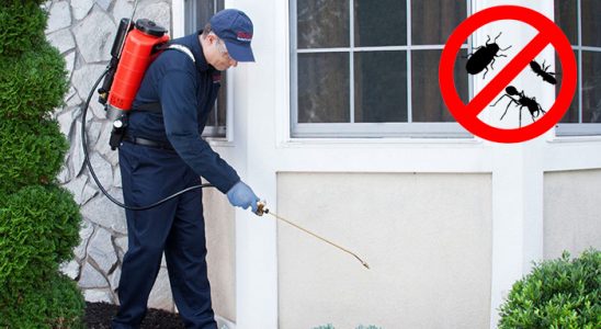 Kemah Hamam Böceği İlaçlama böcek ilaçlama ve haşere kontrolü — ilaclama-tr.com